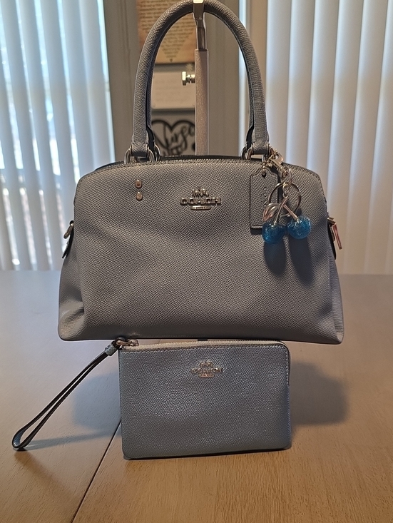 Coach Handbags - NWOT Coach Mini Lillie Carryall w/ Metallic Wristlet